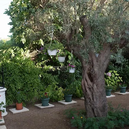 Lefkada Summer House Near The