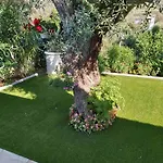 Lefkada Summer House Near The *