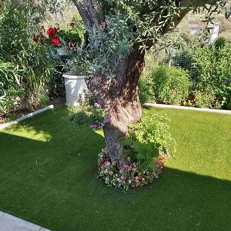 Lefkada Summer House Near The *